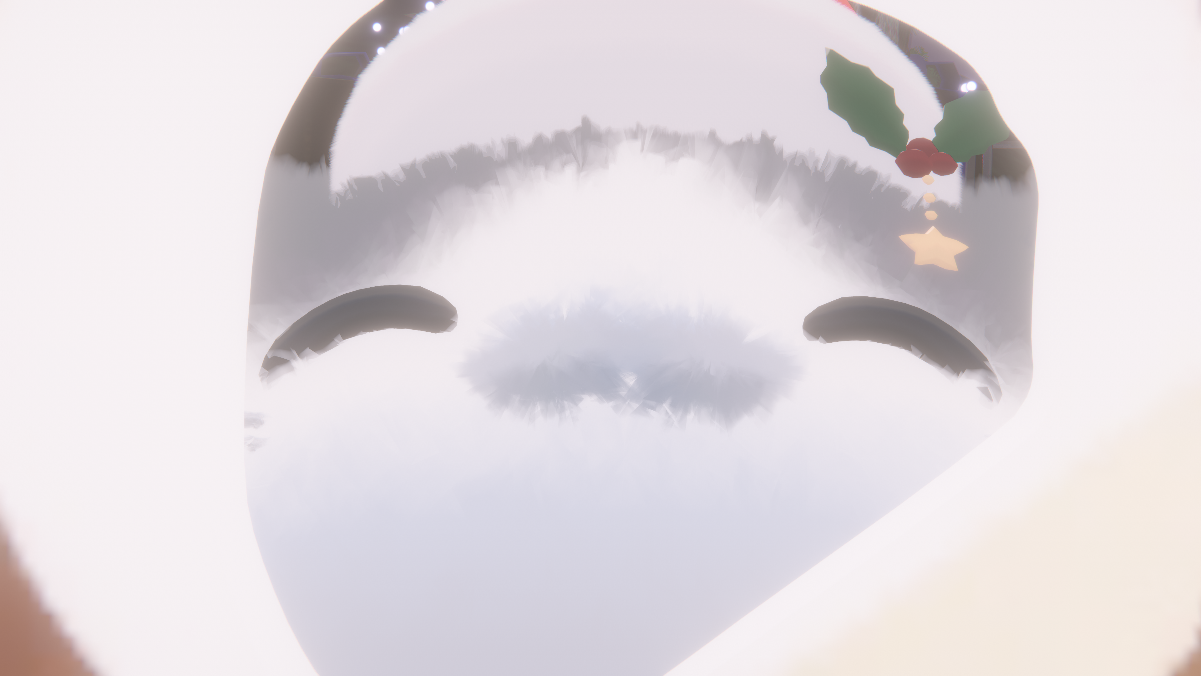 シークレット写真 31