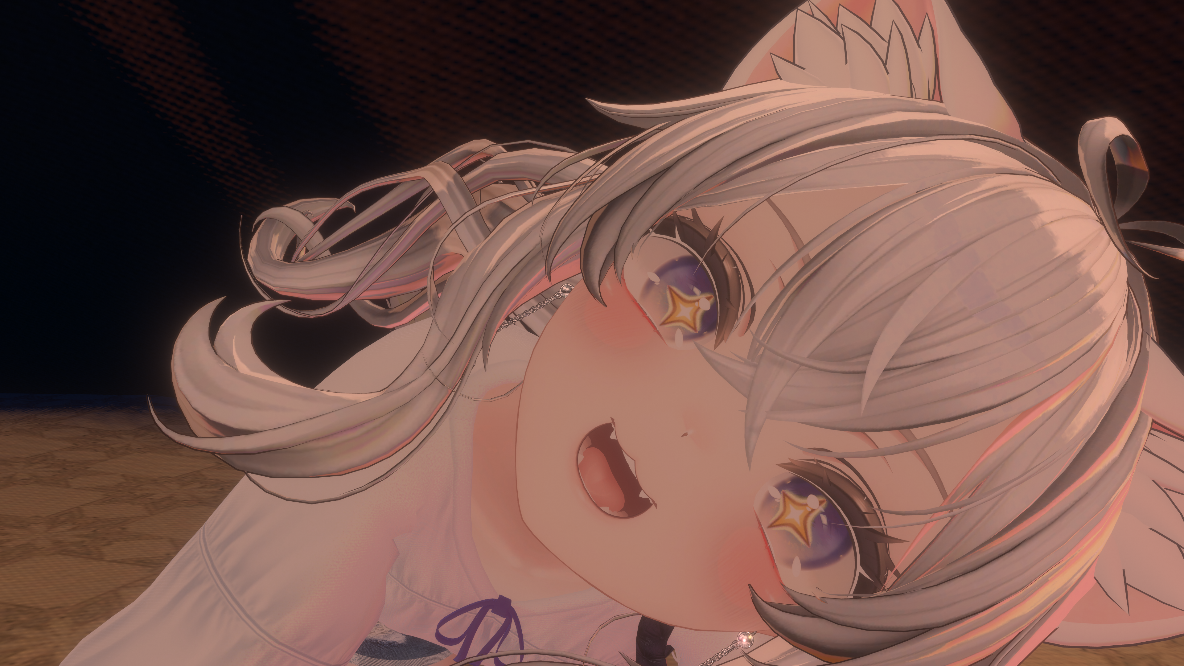 シークレット写真 35